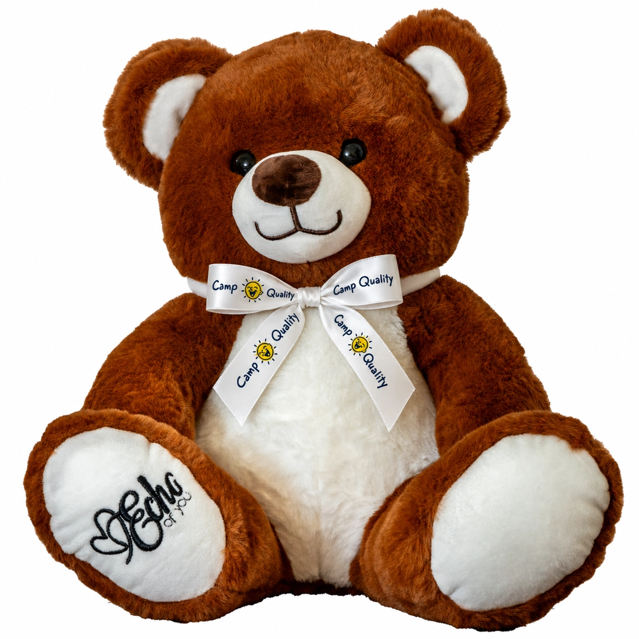 Chocolate Camp Quality Teddy Bear | Lockable Voice Recordable Comfort Bear