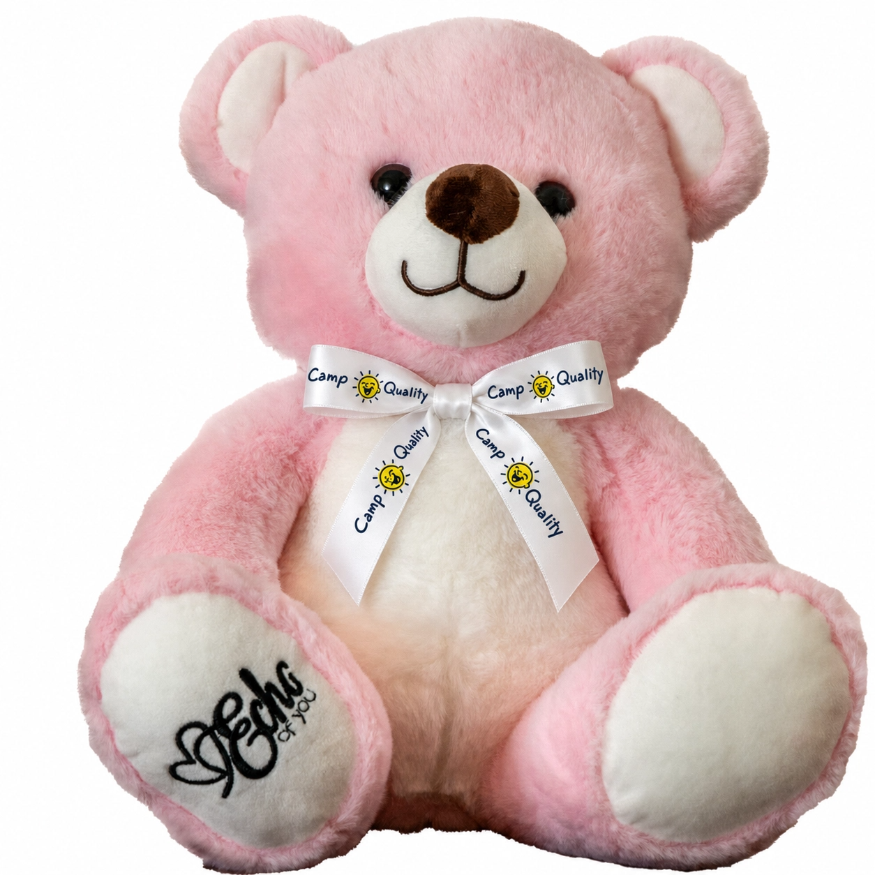 Pink Camp Quality Teddy Bear | Lockable Voice Recordable Comfort Bear
