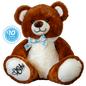 Brown teddy bear with a white bow tie and 'Carers Foundation' logo on a white background