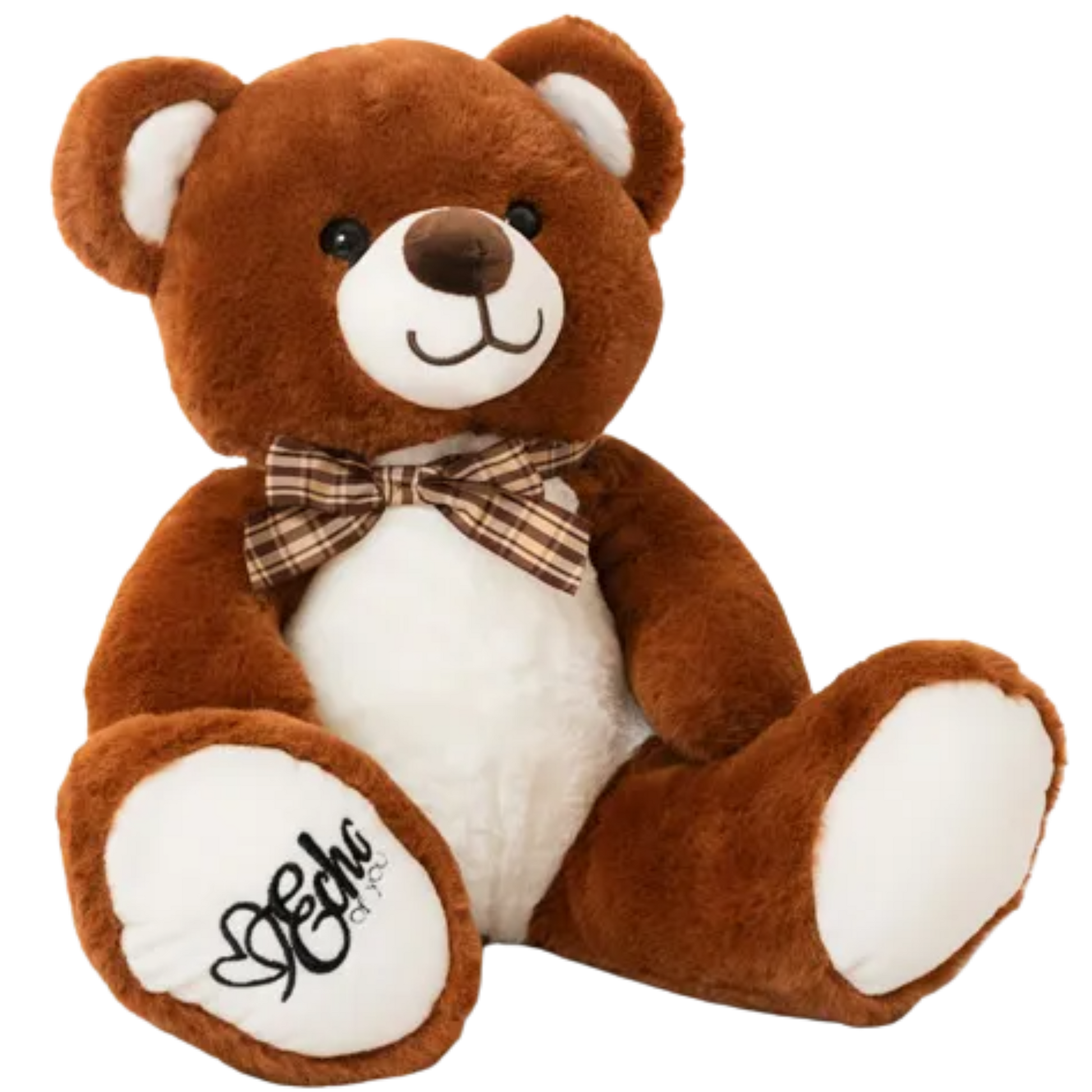 Brown teddy bear with a bow tie on a white background
