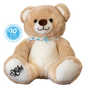 Plush teddy bear with a bow tie and a visible donation label on a white background