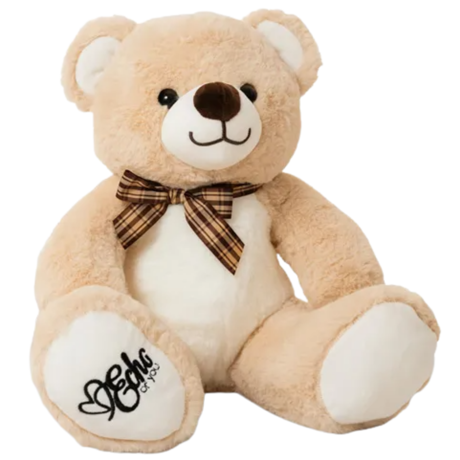 Plush teddy bear with a bow tie on a white background