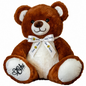 Chocolate Camp Quality Teddy Bear | Lockable Voice Recordable Comfort Bear