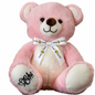 Pink Camp Quality Teddy Bear | Lockable Voice Recordable Comfort Bear